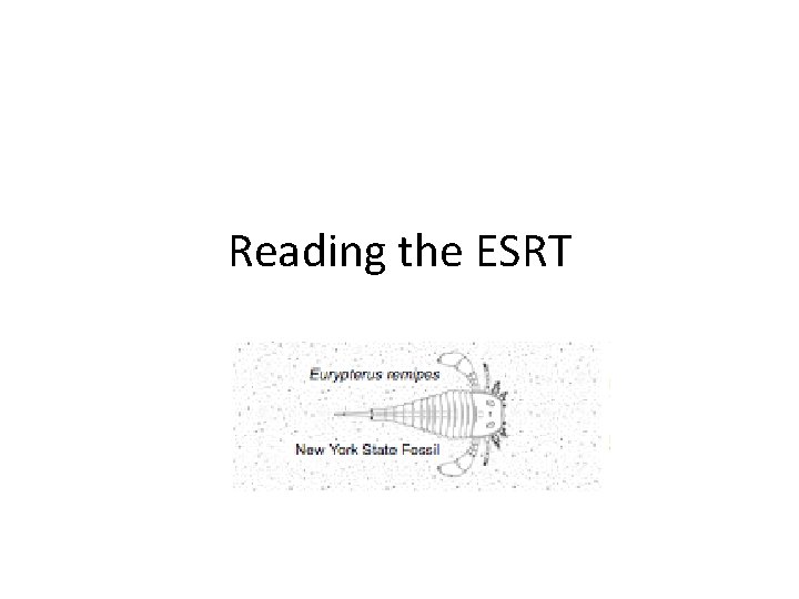 Reading the ESRT 