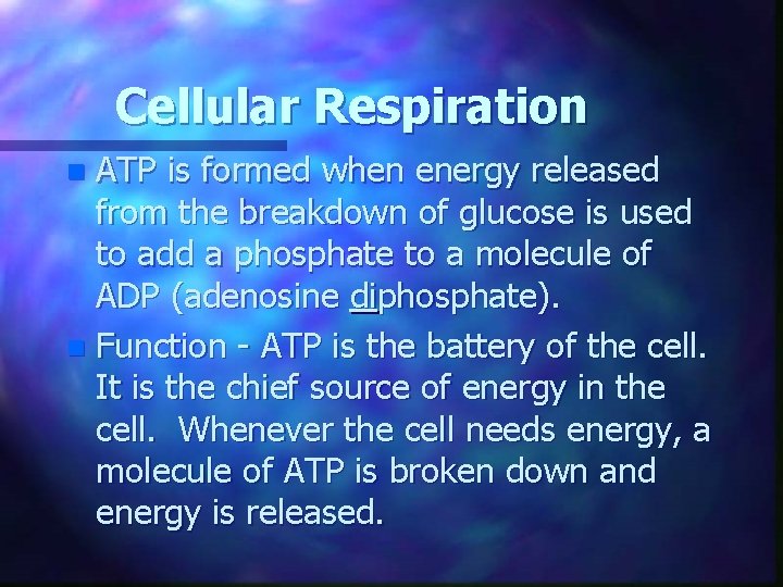 Cellular Respiration ATP is formed when energy released from the breakdown of glucose is