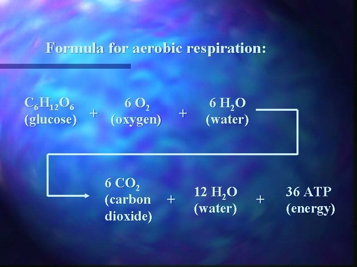 Formula for aerobic respiration: C 6 H 12 O 6 6 O 2 (glucose)