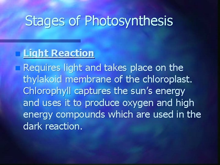 Stages of Photosynthesis Light Reaction n Requires light and takes place on the thylakoid