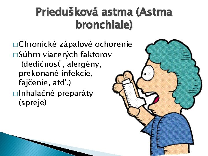 Priedušková astma (Astma bronchiale) � Chronické zápalové ochorenie � Súhrn viacerých faktorov (dedičnosť, alergény,