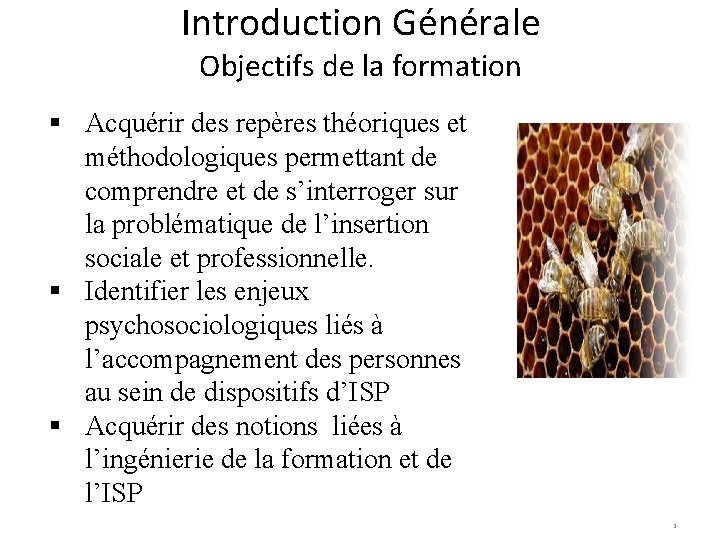 Introduction Générale Objectifs de la formation § Acquérir des repères théoriques et méthodologiques permettant