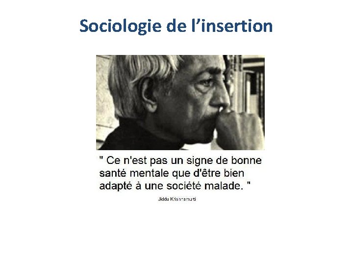 Sociologie de l’insertion 