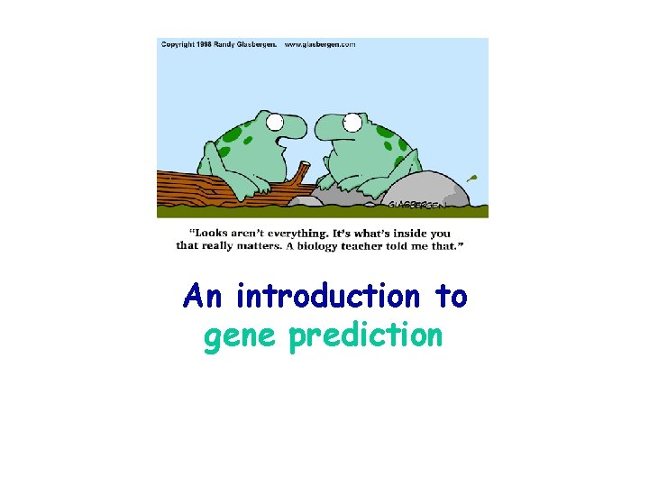 An introduction to gene prediction 