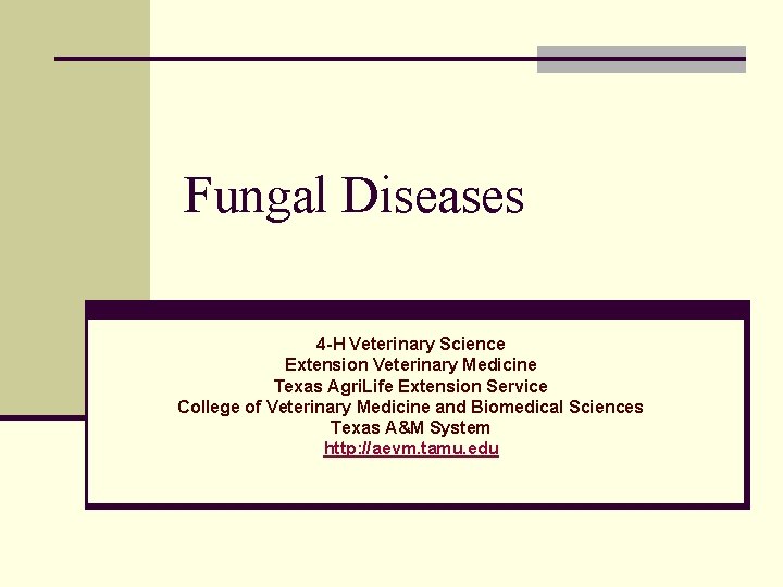 Fungal Diseases 4 -H Veterinary Science Extension Veterinary Medicine Texas Agri. Life Extension Service