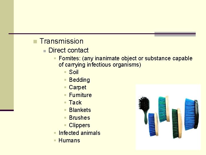 n Transmission n Direct contact § Fomites: (any inanimate object or substance capable of