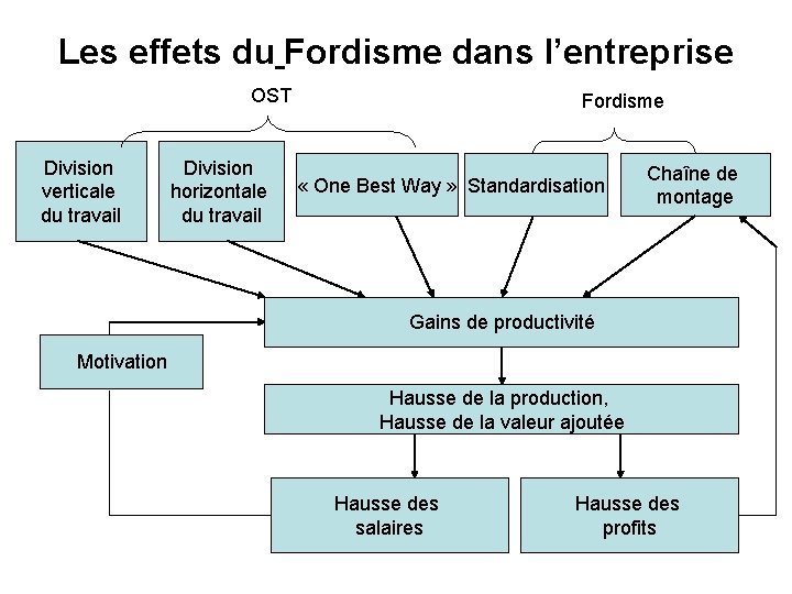 Les effets du Fordisme dans l’entreprise OST Division verticale du travail Division horizontale du