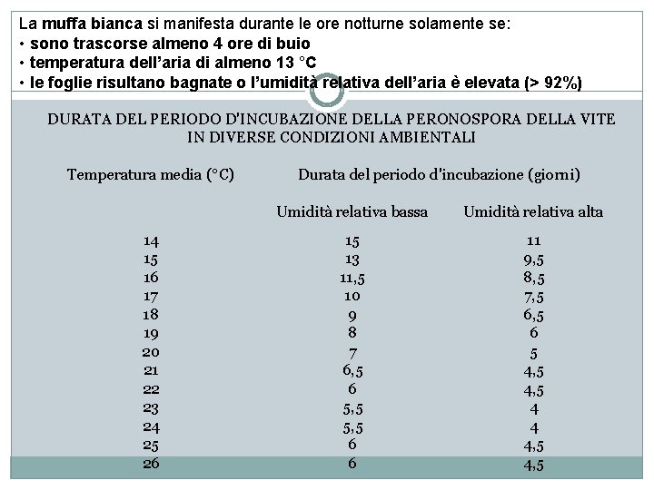 La muffa bianca si manifesta durante le ore notturne solamente se: • sono trascorse