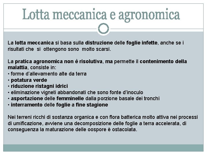 La lotta meccanica si basa sulla distruzione delle foglie infette, anche se i risultati