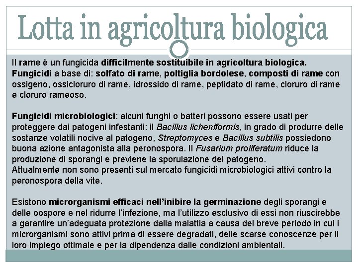 Il rame è un fungicida difficilmente sostituibile in agricoltura biologica. Fungicidi a base di: