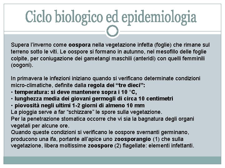 Supera l’inverno come oospora nella vegetazione infetta (foglie) che rimane sul terreno sotto le