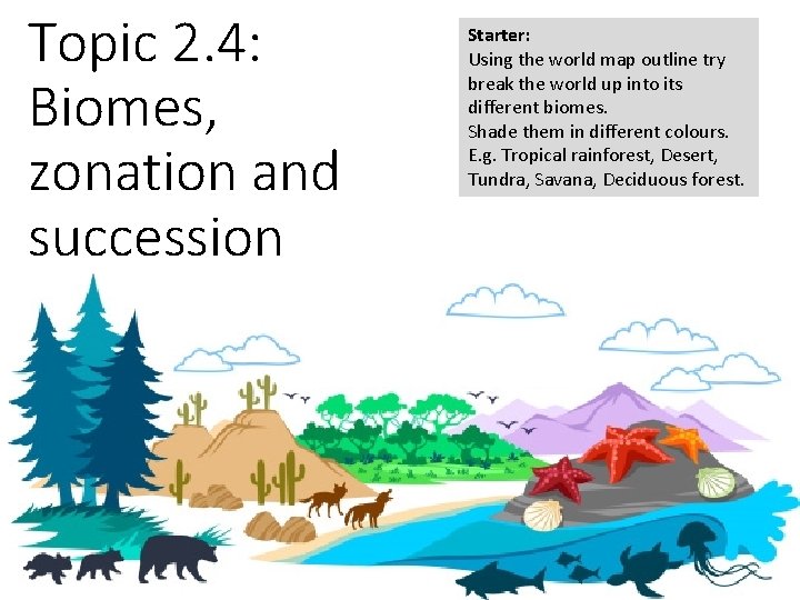 Topic 2. 4: Biomes, zonation and succession Starter: Using the world map outline try