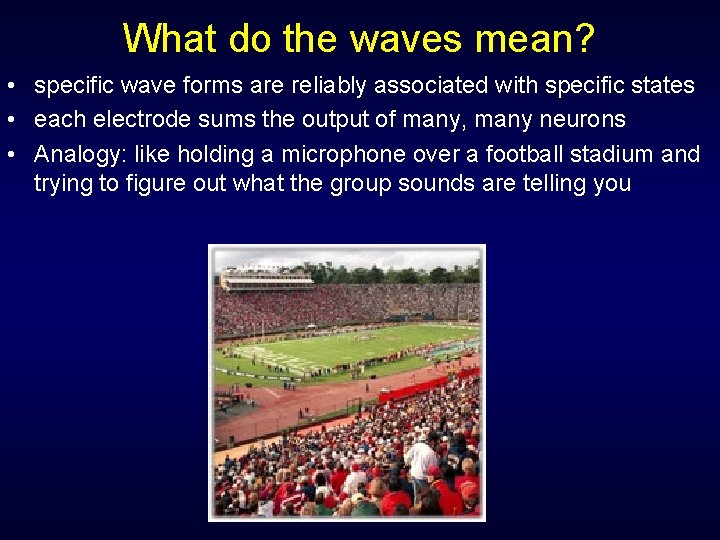 What do the waves mean? • specific wave forms are reliably associated with specific What do the waves mean? • specific wave forms are reliably associated with specific