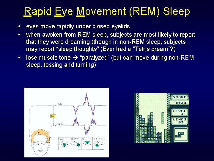 Rapid Eye Movement (REM) Sleep • eyes move rapidly under closed eyelids • when Rapid Eye Movement (REM) Sleep • eyes move rapidly under closed eyelids • when