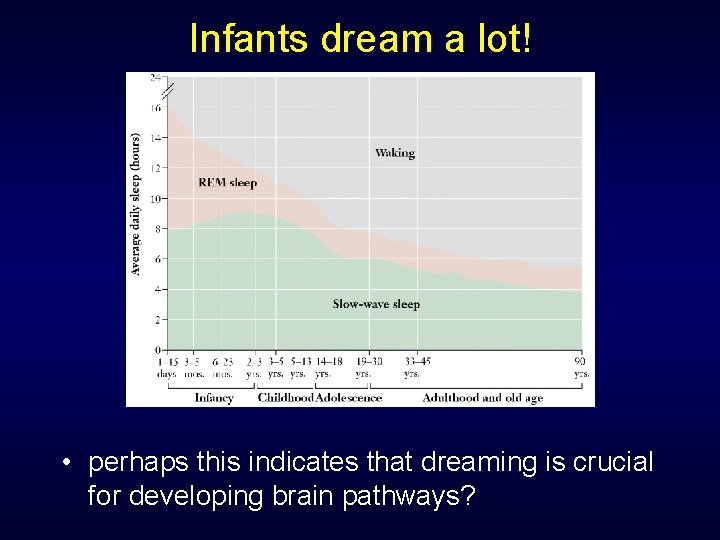 Infants dream a lot! • perhaps this indicates that dreaming is crucial for developing Infants dream a lot! • perhaps this indicates that dreaming is crucial for developing