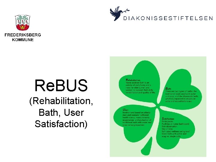 Re. BUS (Rehabilitation, Bath, User Satisfaction) 