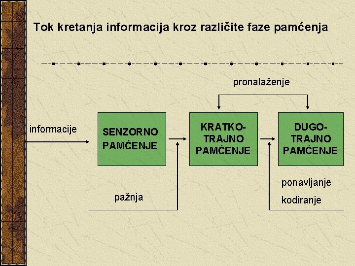 Tok kretanja informacija kroz različite faze pamćenja pronalaženje informacije SENZORNO PAMĆENJE KRATKOTRAJNO PAMĆENJE DUGOTRAJNO