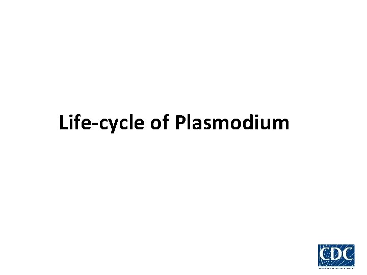 Life-cycle of Plasmodium 