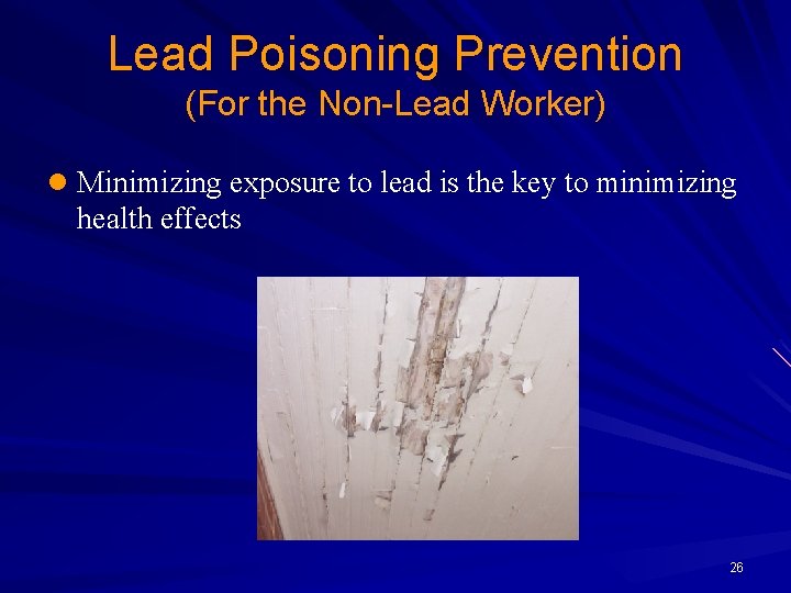 Lead Poisoning Prevention (For the Non-Lead Worker) l Minimizing exposure to lead is the