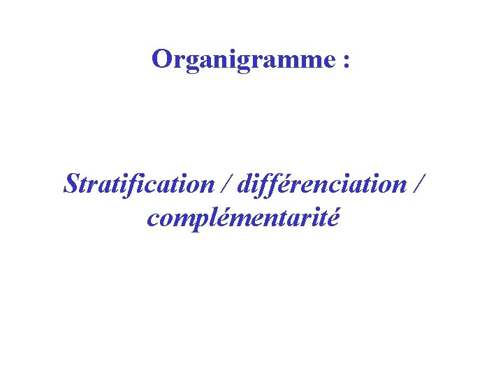 Organigramme : Stratification / différenciation / complémentarité 