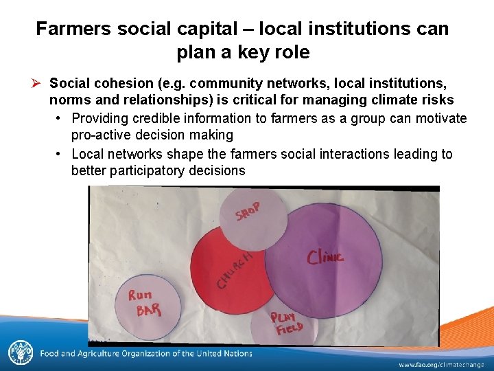 Farmers social capital – local institutions can plan a key role Ø Social cohesion
