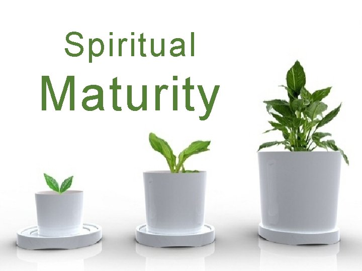 Spiritual Maturity 