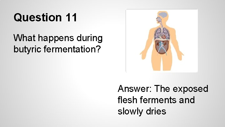 Question 11 What happens during butyric fermentation? Answer: The exposed flesh ferments and slowly