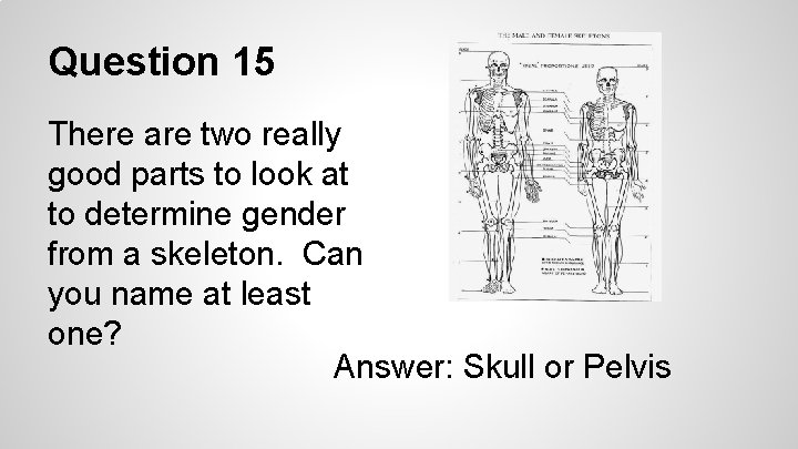 Question 15 There are two really good parts to look at to determine gender