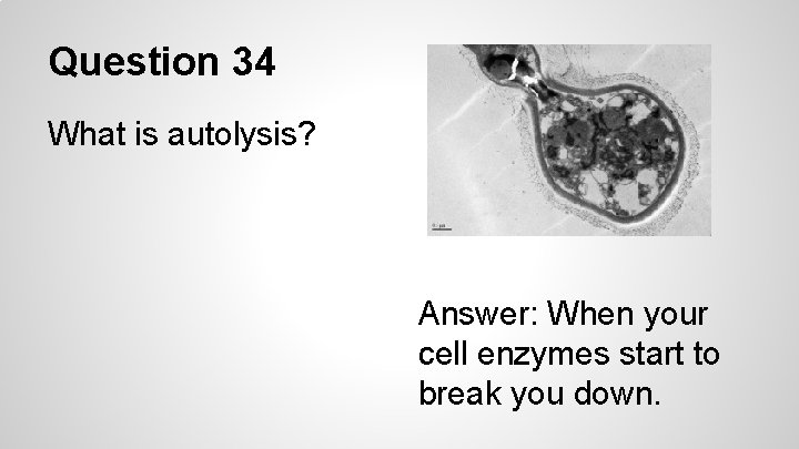 Question 34 What is autolysis? Answer: When your cell enzymes start to break you