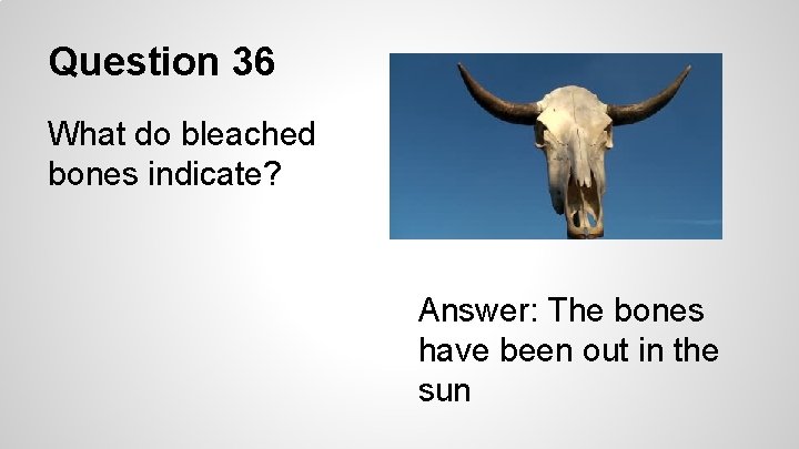 Question 36 What do bleached bones indicate? Answer: The bones have been out in