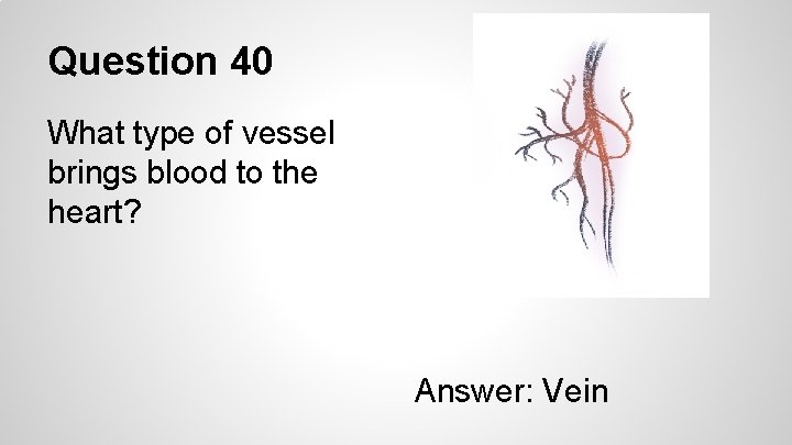 Question 40 What type of vessel brings blood to the heart? Answer: Vein 