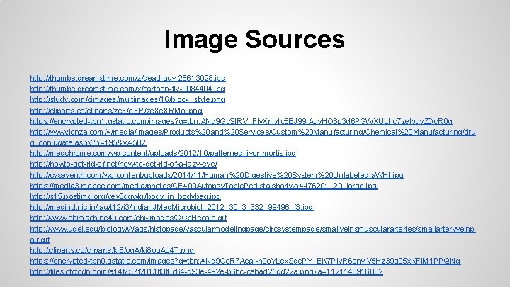 Image Sources http: //thumbs. dreamstime. com/z/dead-guy-26613028. jpg http: //thumbs. dreamstime. com/x/cartoon-fly-9084404. jpg http: //study.