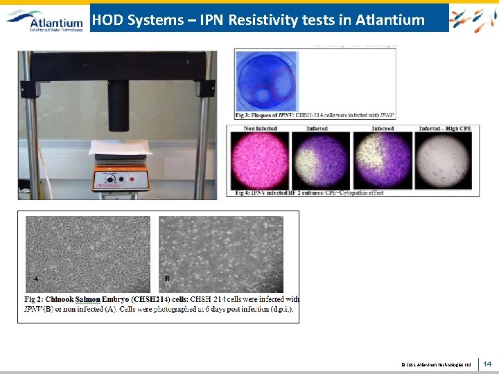 HOD Systems – IPN Resistivity tests in Atlantium © 2011 Atlantium Technologies Ltd. 14