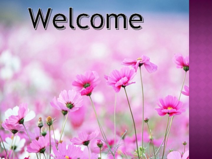 Welcome 