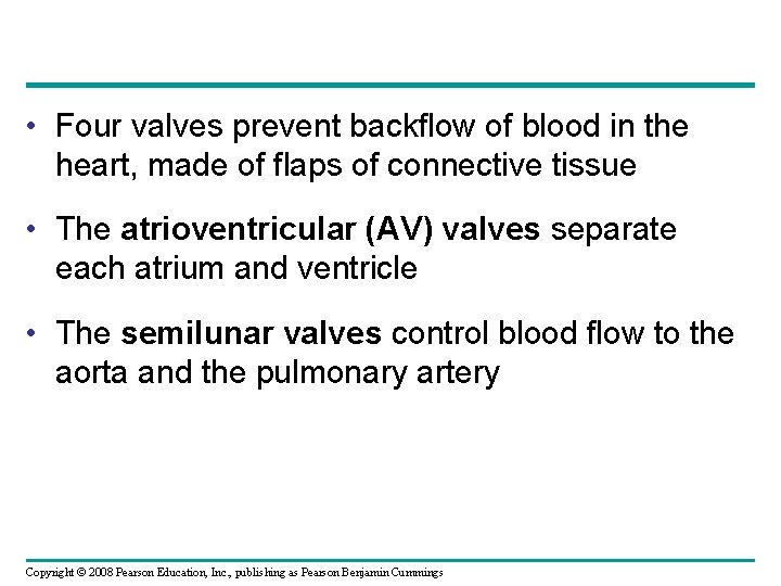  • Four valves prevent backflow of blood in the heart, made of flaps