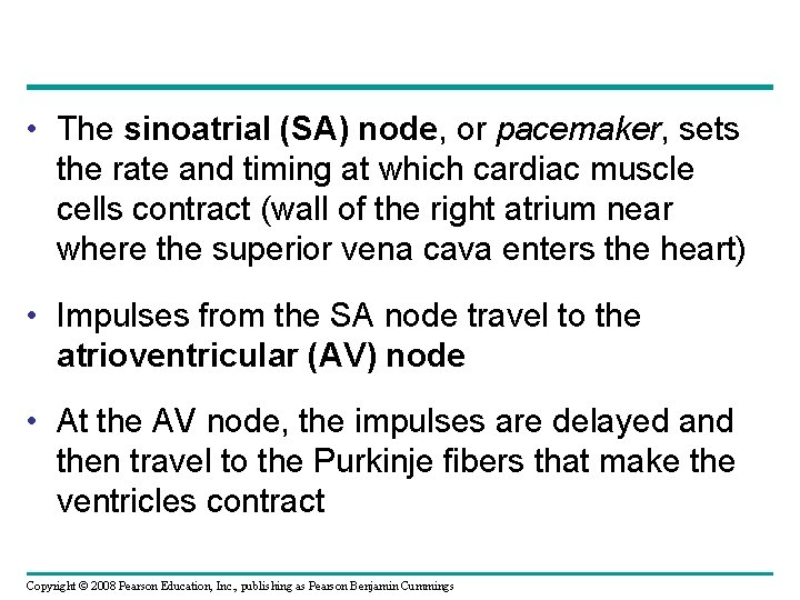  • The sinoatrial (SA) node, or pacemaker, sets the rate and timing at