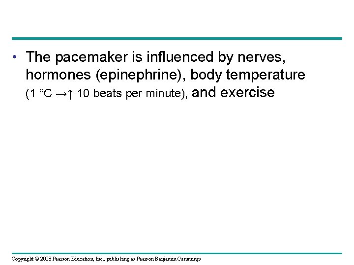  • The pacemaker is influenced by nerves, hormones (epinephrine), body temperature (1 °C
