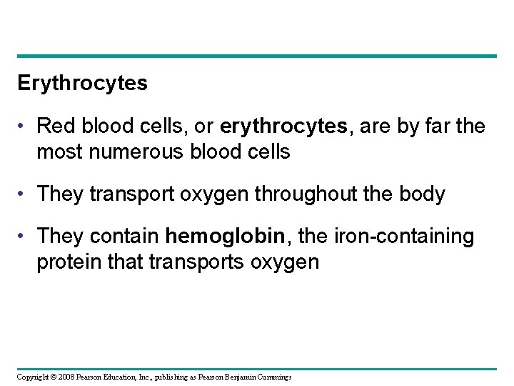 Erythrocytes • Red blood cells, or erythrocytes, are by far the most numerous blood