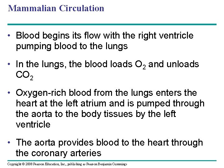 Mammalian Circulation • Blood begins its flow with the right ventricle pumping blood to