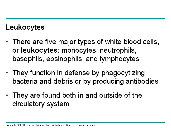 Leukocytes • There are five major types of white blood cells, or leukocytes: monocytes,