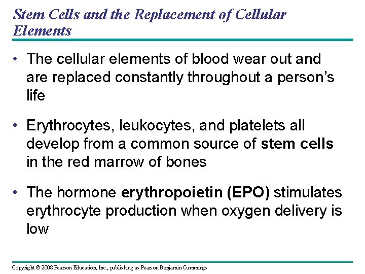 Stem Cells and the Replacement of Cellular Elements • The cellular elements of blood