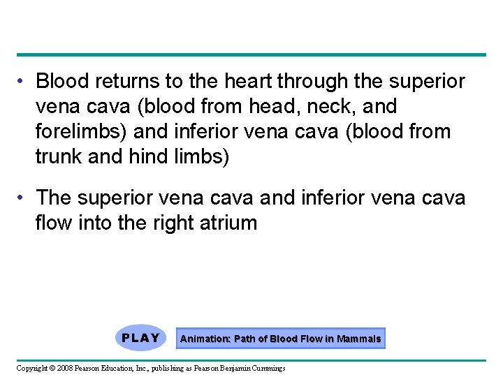  • Blood returns to the heart through the superior vena cava (blood from