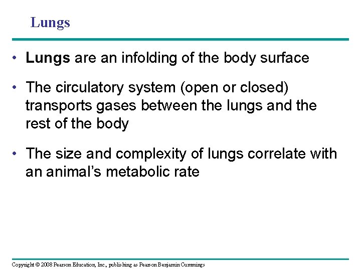 Lungs • Lungs are an infolding of the body surface • The circulatory system