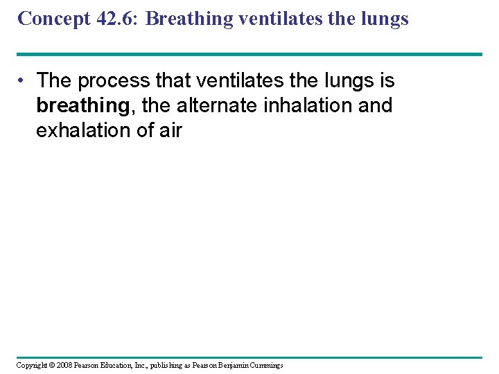 Concept 42. 6: Breathing ventilates the lungs • The process that ventilates the lungs