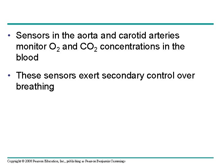  • Sensors in the aorta and carotid arteries monitor O 2 and CO