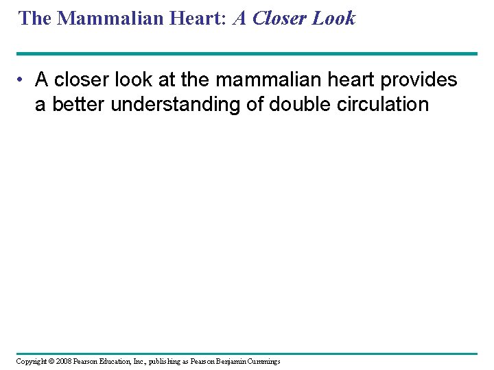 The Mammalian Heart: A Closer Look • A closer look at the mammalian heart