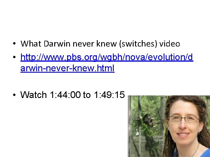  • What Darwin never knew (switches) video • http: //www. pbs. org/wgbh/nova/evolution/d arwin-never-knew.