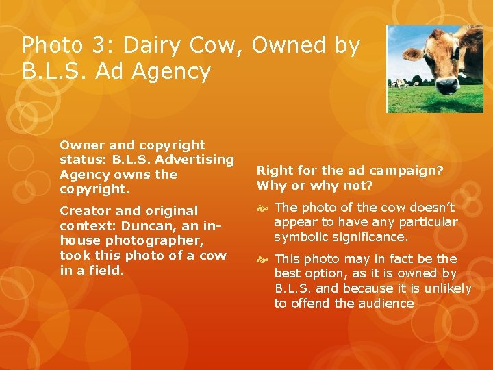 Photo 3: Dairy Cow, Owned by B. L. S. Ad Agency Owner and copyright