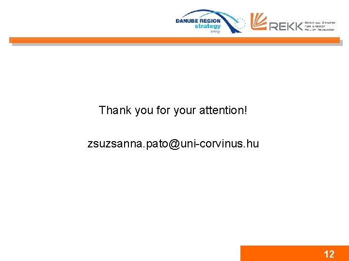Thank you for your attention! zsuzsanna. pato@uni-corvinus. hu 12 