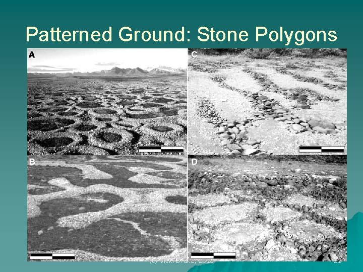 Patterned Ground: Stone Polygons (c) Vicki Drake, 2010 21 